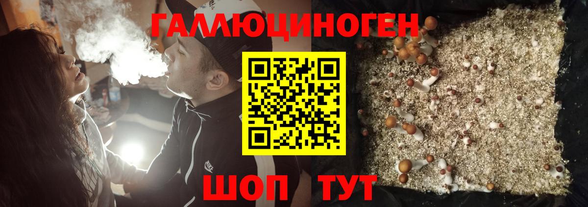 Новоалександровск  Псилоцибиновые грибы Cubensis  Галлюциногенные грибы Magic Shrooms  Вход с VPN 